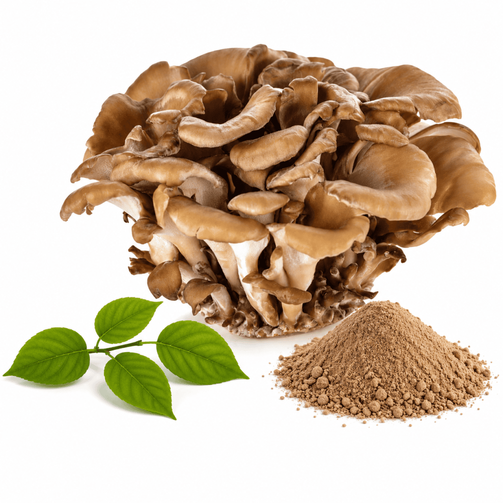Maitake Pulver 200 g kaufen