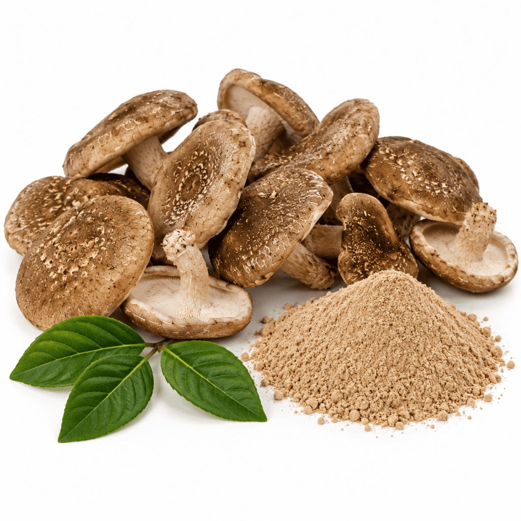 Shiitake Pulver 200 g kaufen