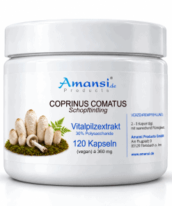 Coprinus comatus Extrakt 120 Kapsel