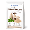 Coprinus comatus Pulver kaufen