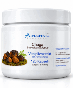 Chaga Extrakt 120 Kapsel