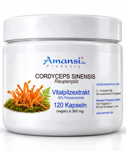 Cordyceps sinensis Extrakt 120 Kapsel