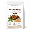 Cordyceps Pulver kaufen