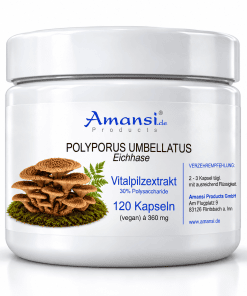 Polyporus umbellatus Extrakt 120 Kapsel